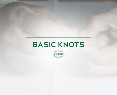 BASIC KNOTS