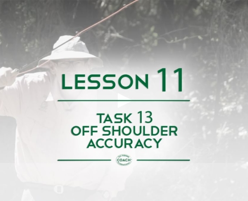 chapter 3 Lesson 11 Fly Fishing CI Task 13 Off Shoulder Accuracy