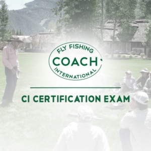 CI Certification Exam Section Cover
