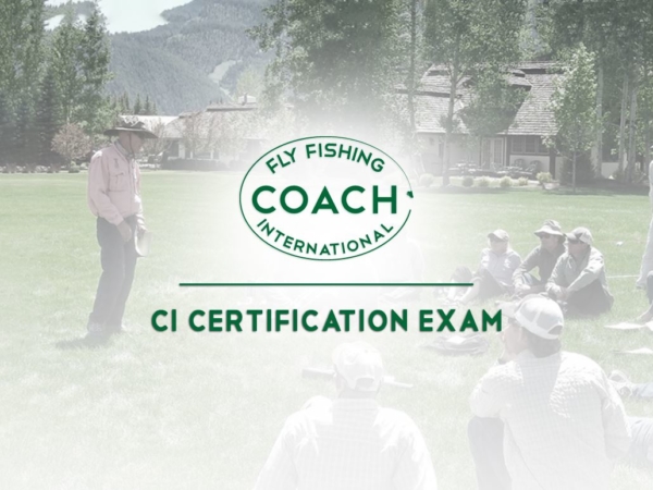 CI Certification Exam Section Cover