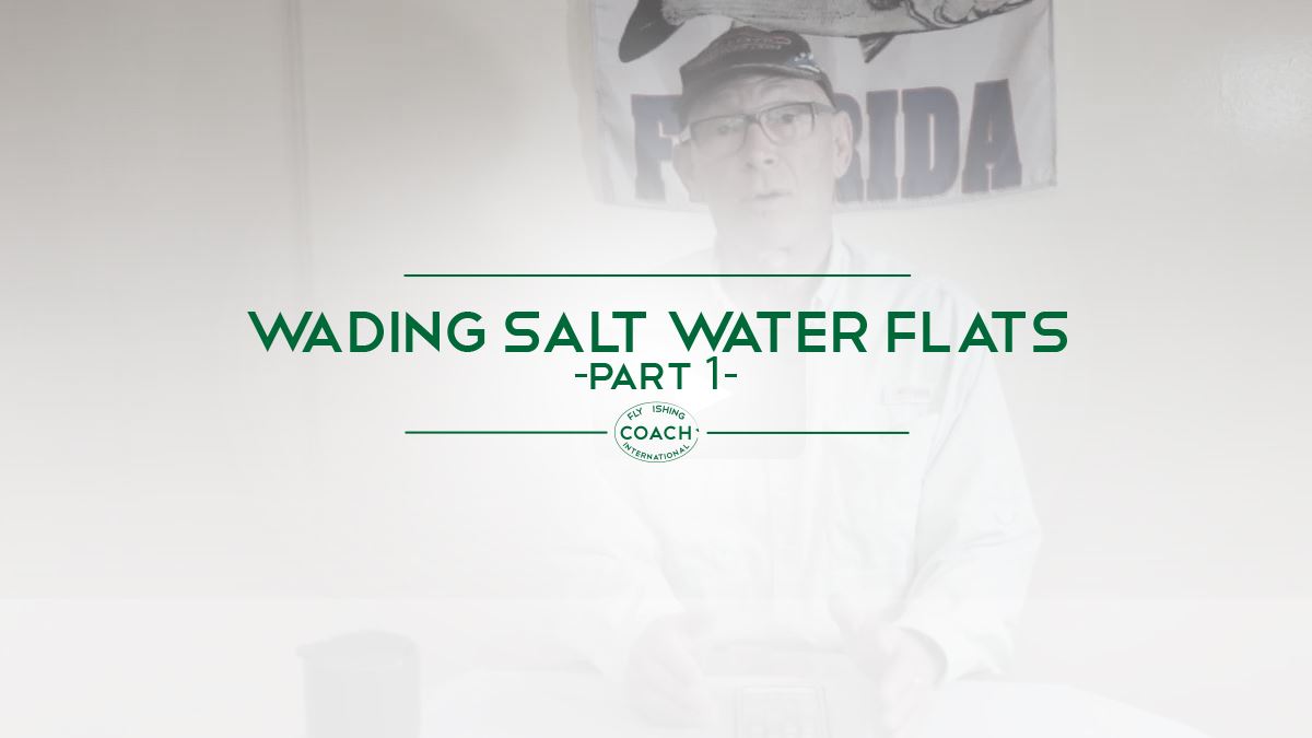 WADING SALT WATER FLATS PT 1