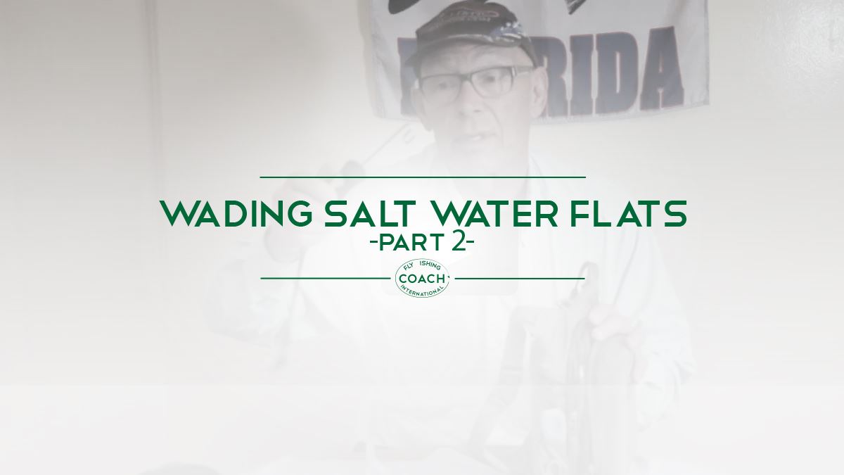 WADING SALT WATER FLATS PT 2