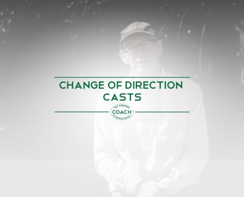 CHANCE OF DIRECTION CASTS