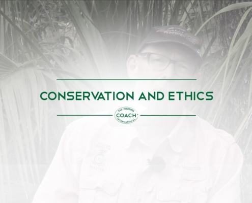 CONSERVATION AND ETHICS
