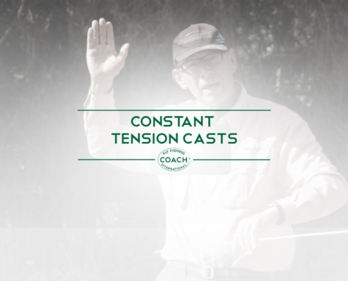 CONSTANT TENSION CASTS