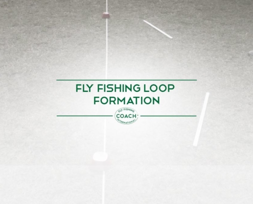 FLY FISHING LOOP AND FORMATION