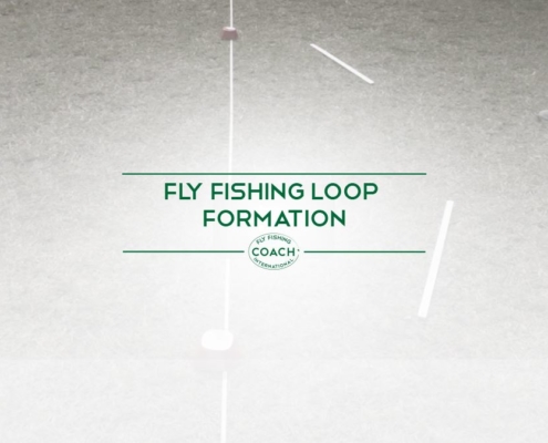 FLY FISHING LOOP AND FORMATION