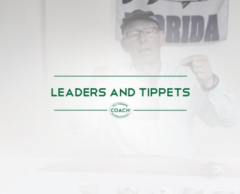 LEADERS AND TIPPETS