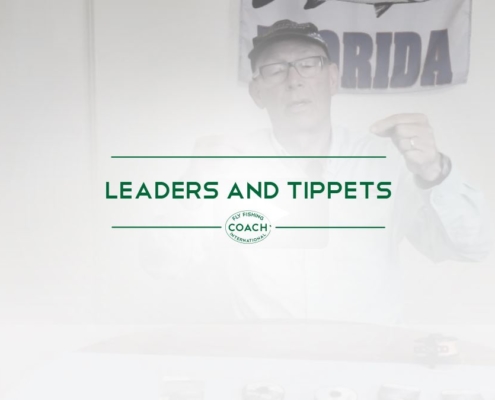 LEADERS AND TIPPETS