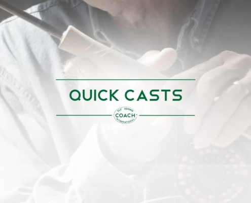 QUICK CASTS