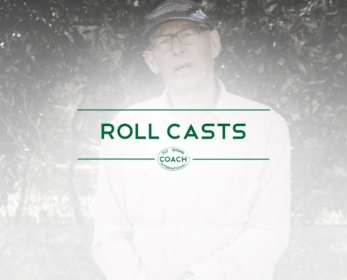 ROLL CASTS
