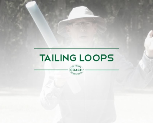 TAILING LOOPS